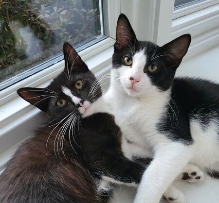 Cassie & Percy