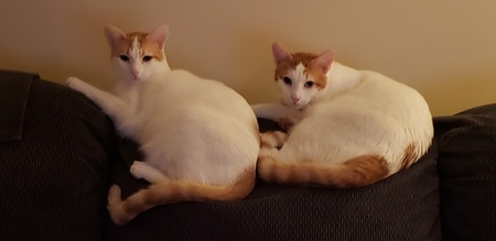 Carlos and Diego 