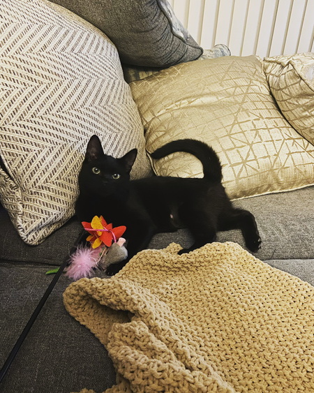 Benji