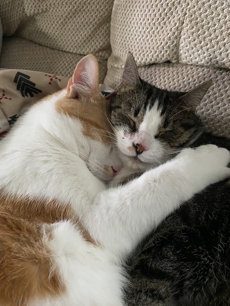 Peanut and Betty
