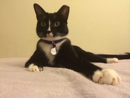 Percy