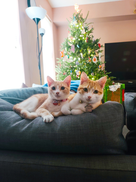 Teagan and Sara