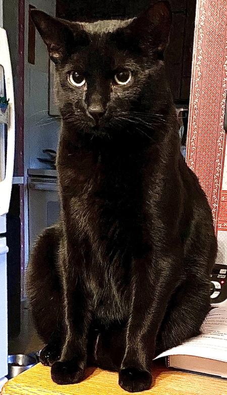 Java