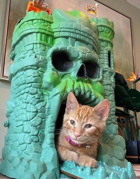 Jonesy