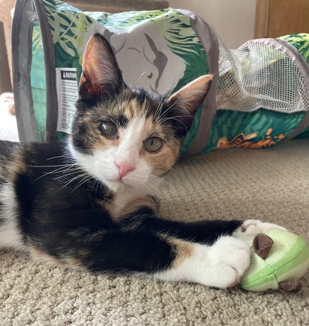 Mia