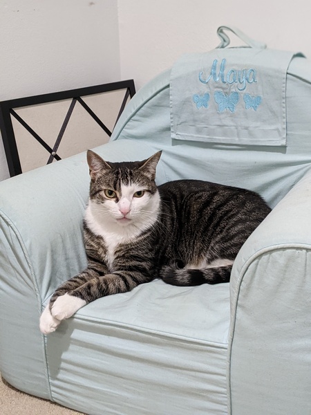 Basil