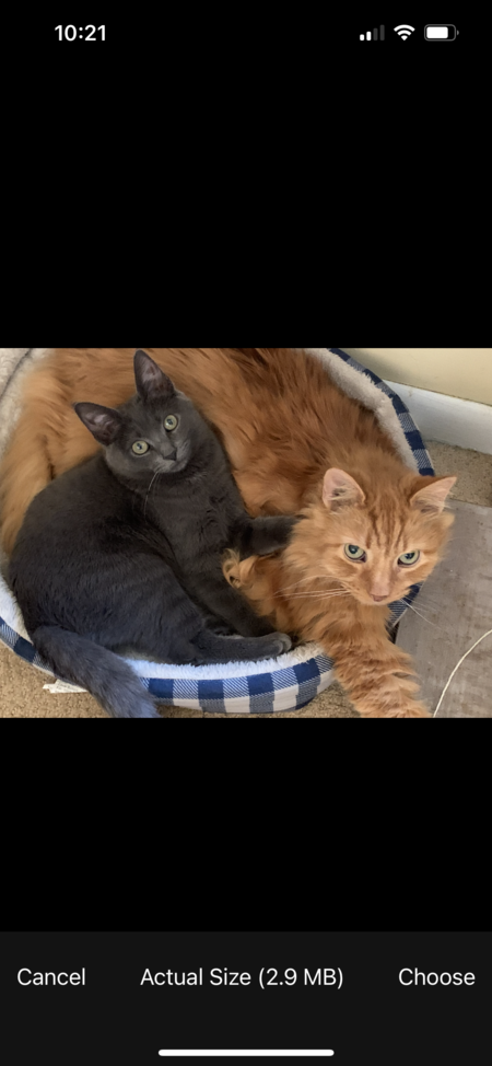 Bob & Velvet