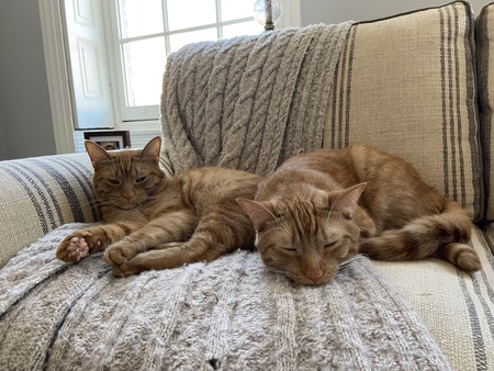 Molly and Arthur