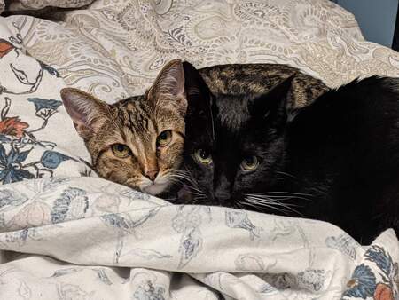 Persephone and Hades