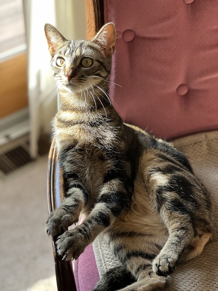 Milo