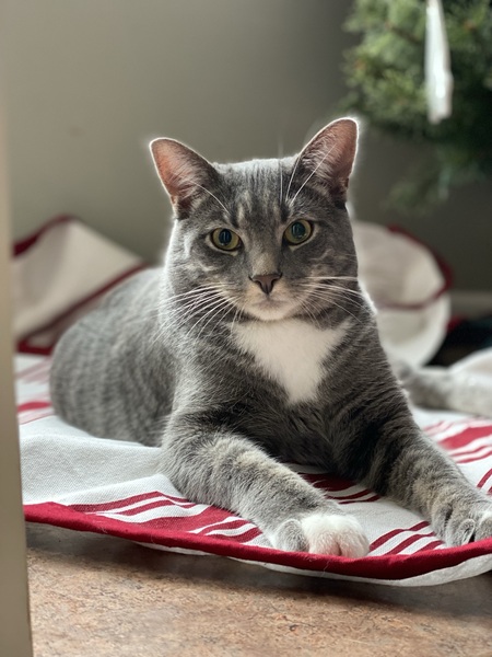George