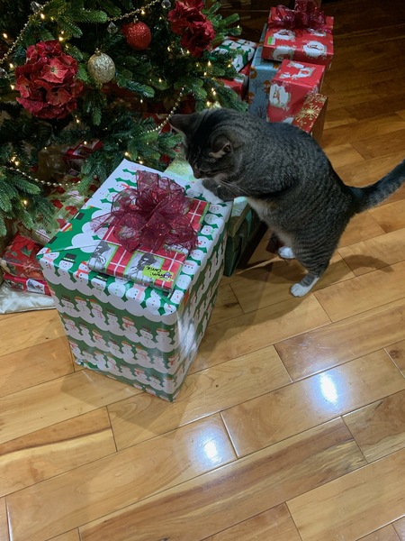 Peeking at Presents