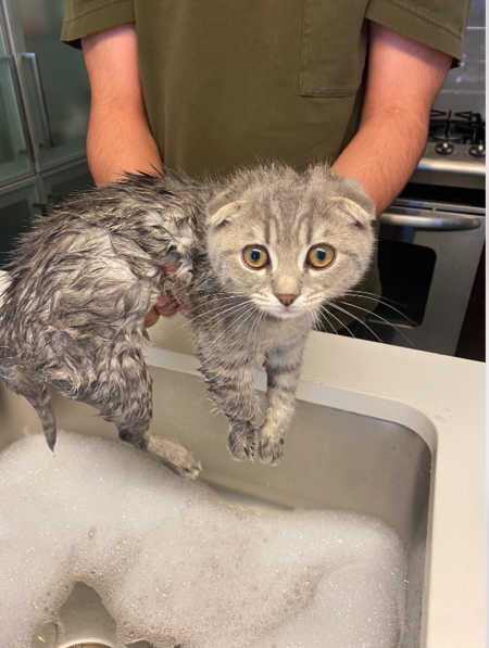 Ferguson takes a bath