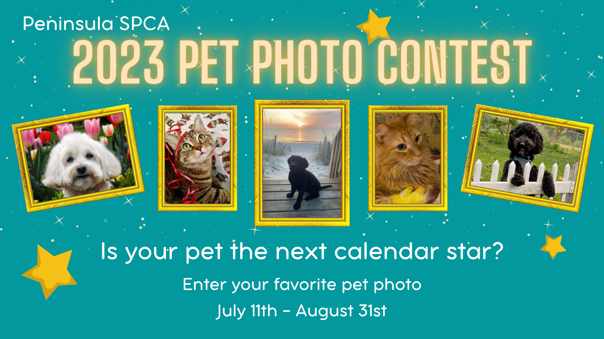 Peninsula SPCA 2023 Peninsula SPCA Calendar Photo Contest
