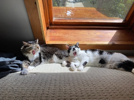 Sully and Penelope 