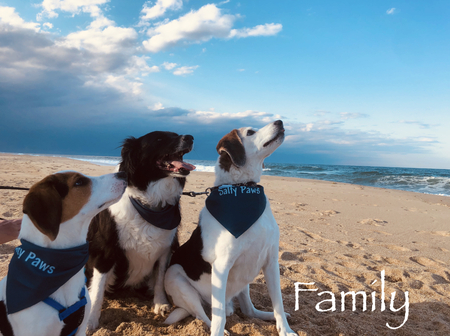 Ozzie, Lily, & Jack