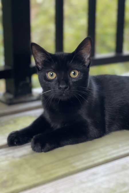 Lucy