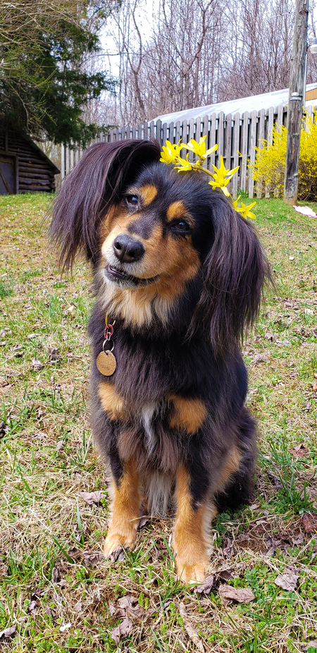 Greta