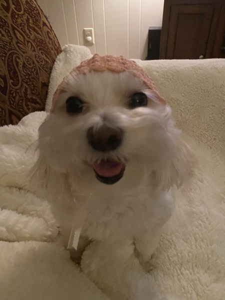 Lily Mae