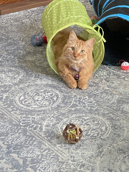 Milo