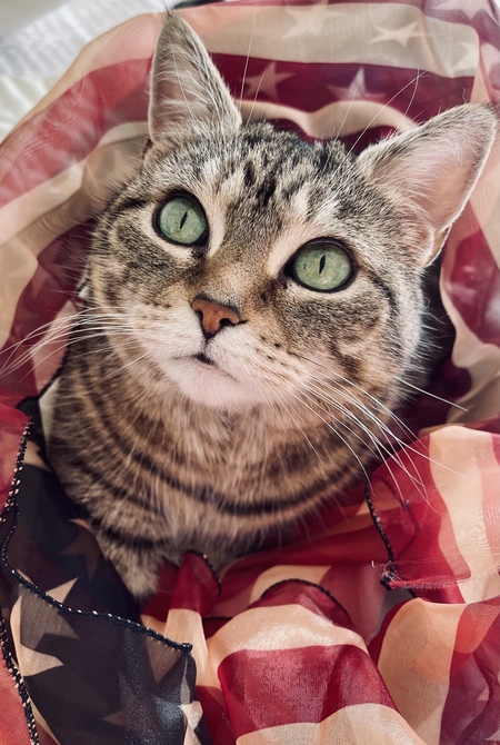Winnie