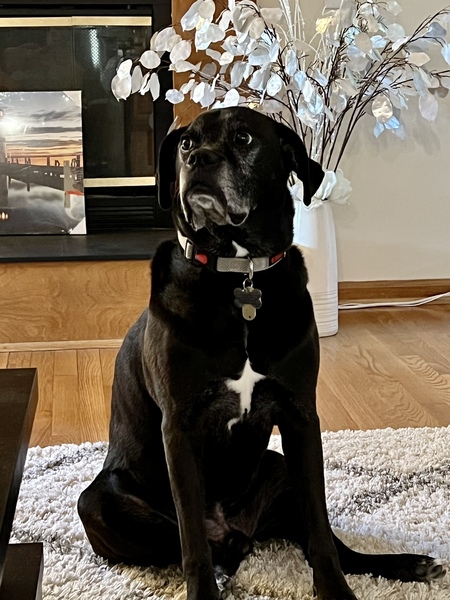 Leroy 