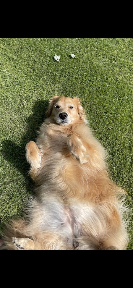 Penny 