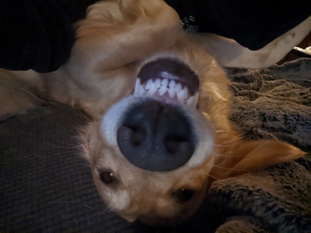  Nala