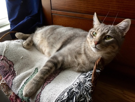 Remington