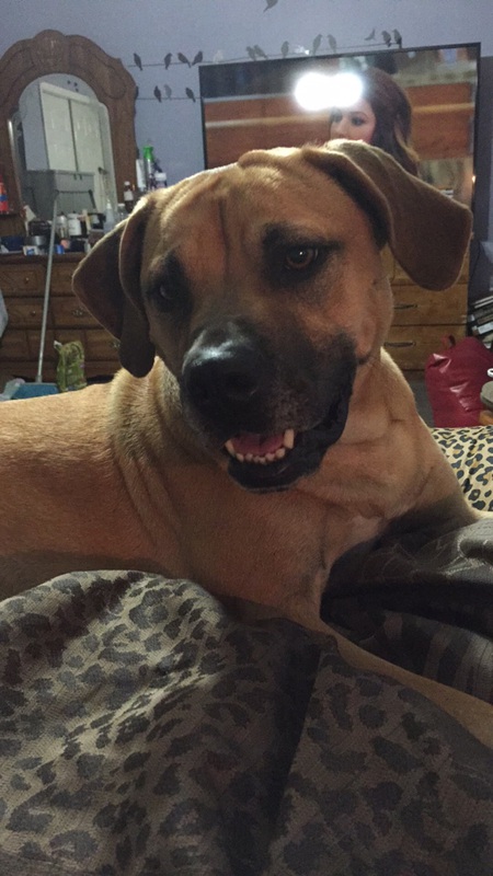 Sadie Bug