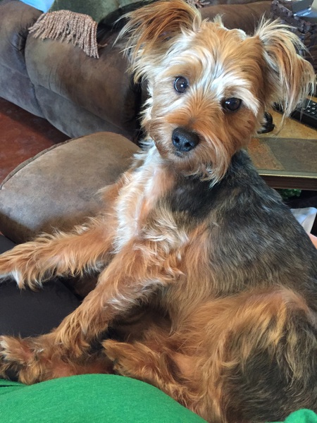 Max 