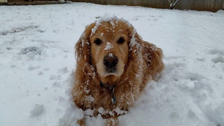 Marley