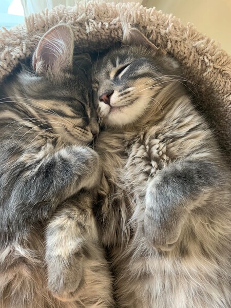 Finn & Phoebe