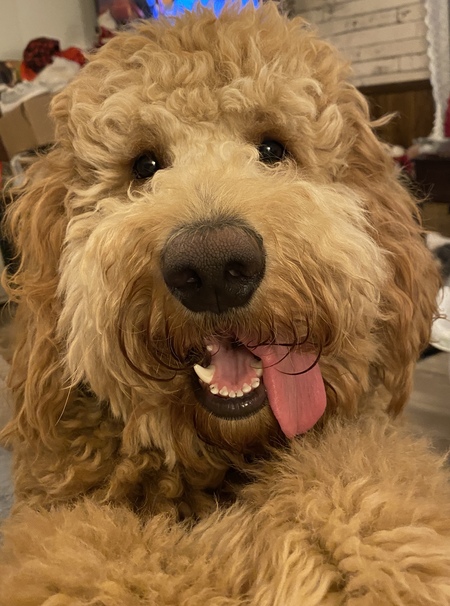 Oliver (1)