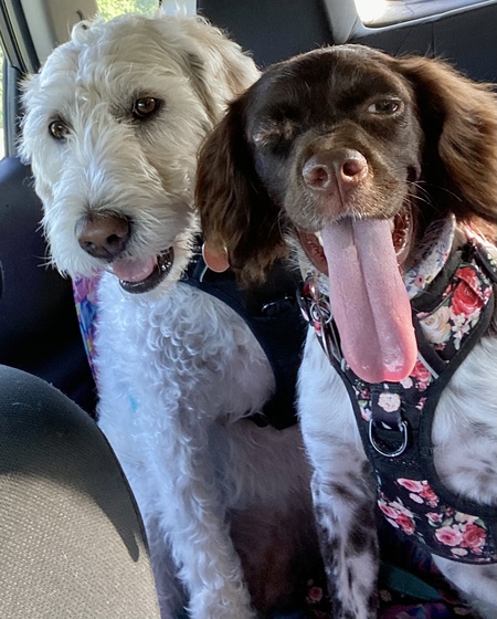 Maya and Penny