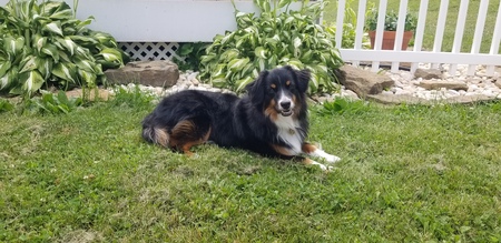 Rosie