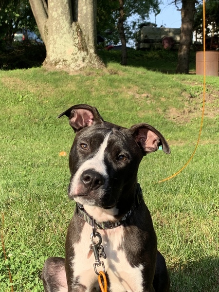 Cash