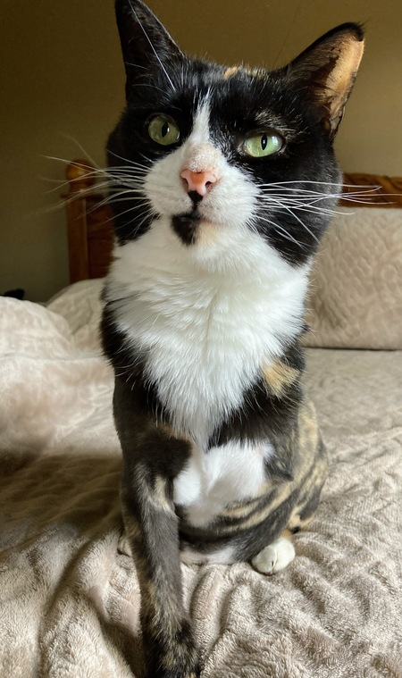 Matilda (aka Breezy)