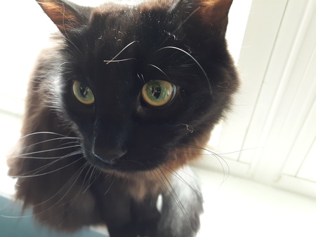 Jack