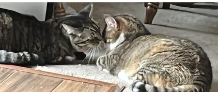 L & M