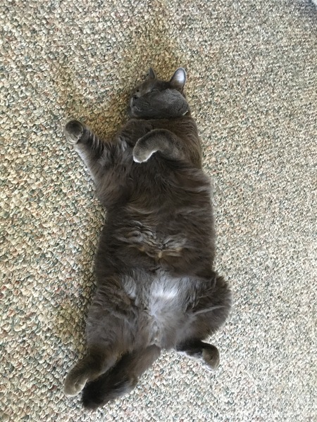 Charlie