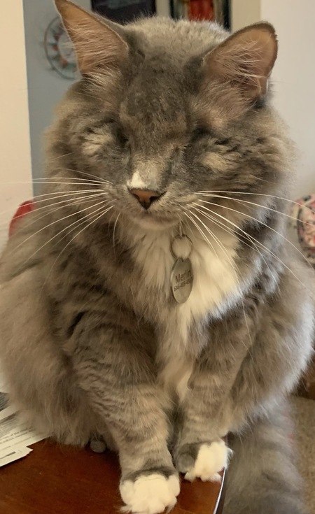 Merlin