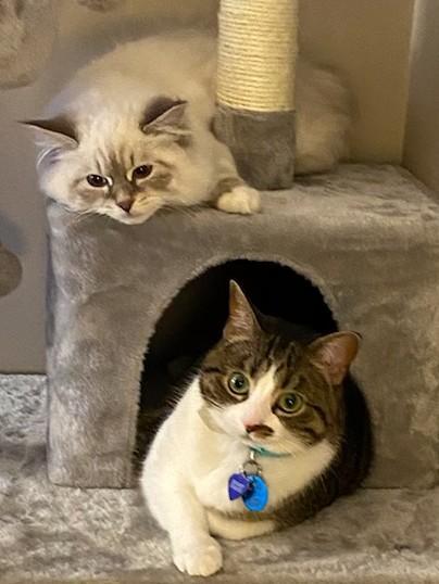 Rose and Emeric