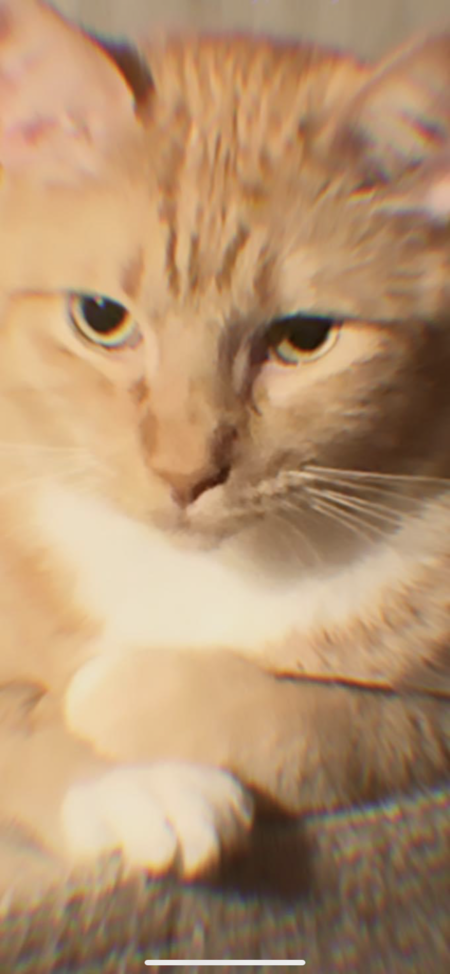 Sebastian 