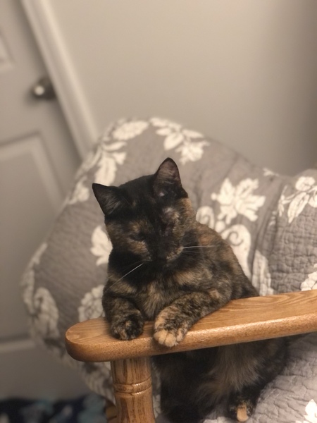 Isabella 
