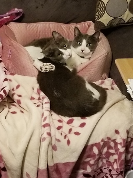 Dot and Dash