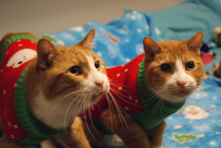 Frankie and Louie