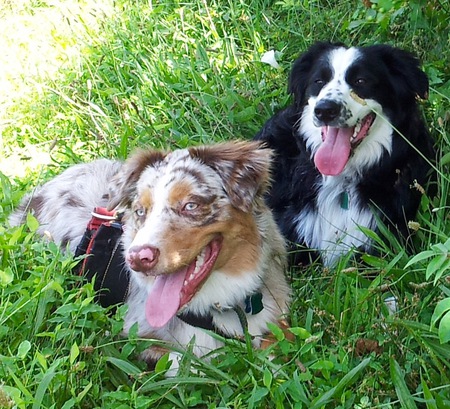 Bo (SOHO) and Julian