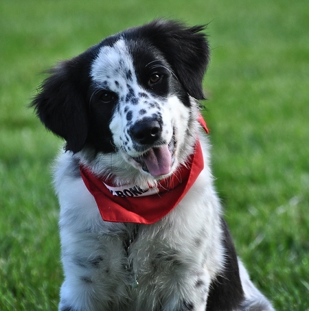 Wilson