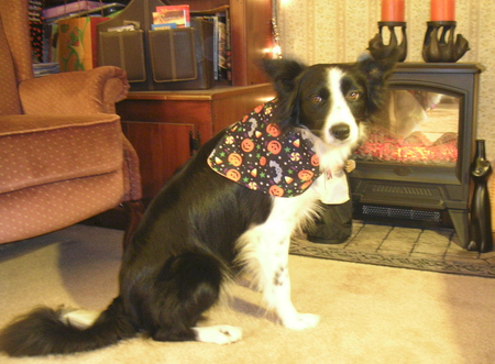 Lacey